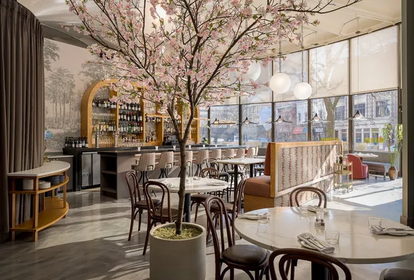 LeTour Evanston French-Moroccan — Amy Morton restaurant