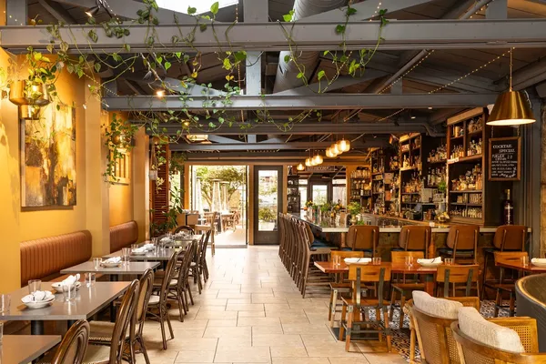 Lo and Behold Healdsburg bar kitchen