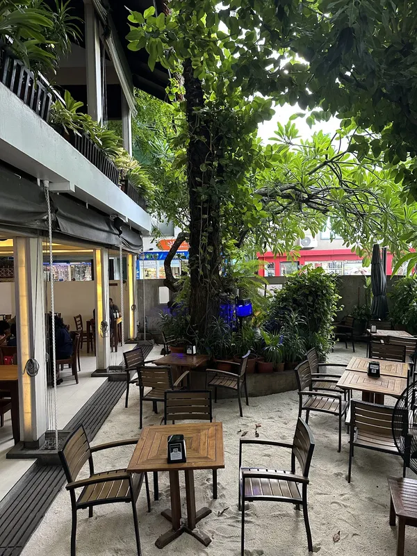 Seagull Café House — Male Café / Maldivian / International dining room