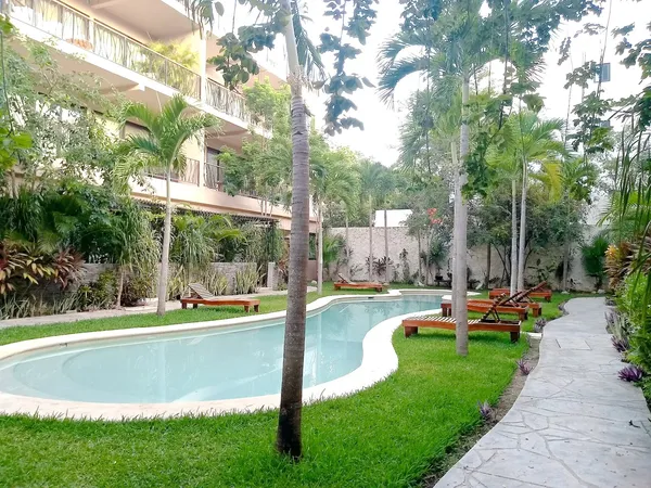 Espacio Ki'in Tulum modern mexican