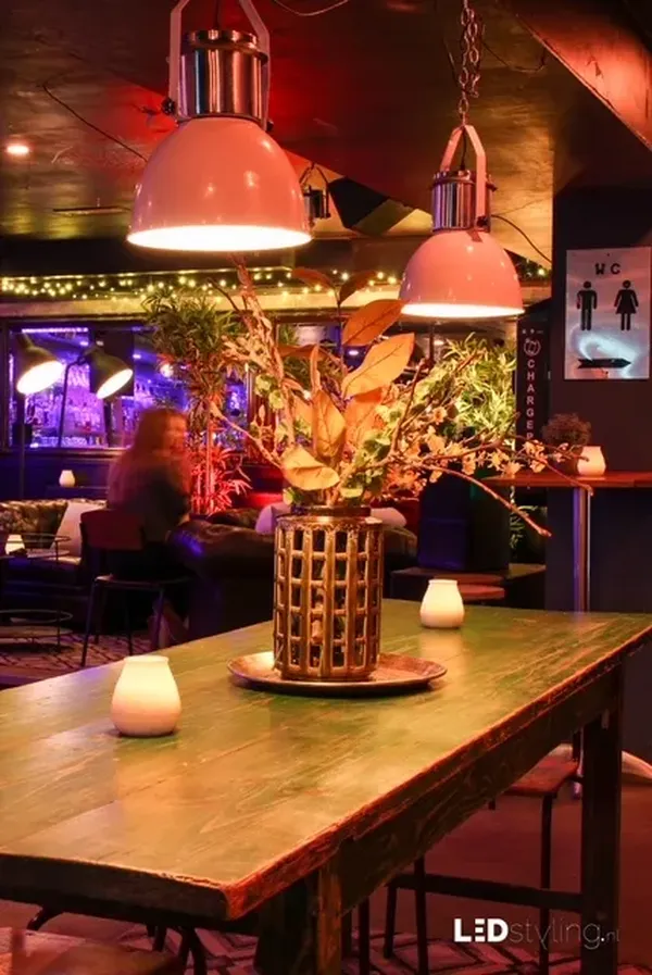 De Plataan Amsterdam modern european