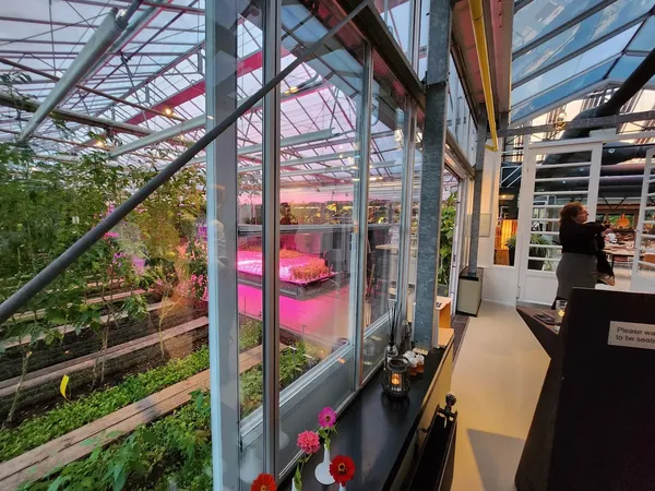 De Kas Amsterdam greenhouse restaurant Frankendael Park sustainable dining