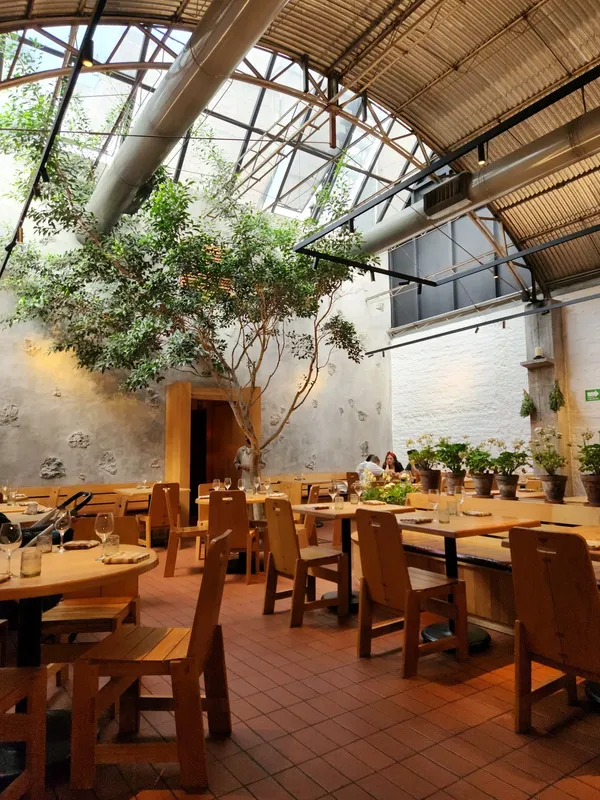 Maximo Bistrot Mexico City