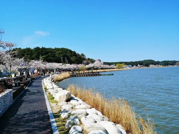 Gyeongpo Mulhoe restaurant