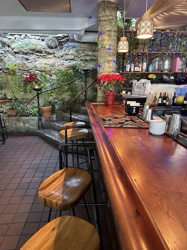 El Alma Austin Bouldin Creek Barton Springs modern Mexican rooftop patio mole restaurant interior