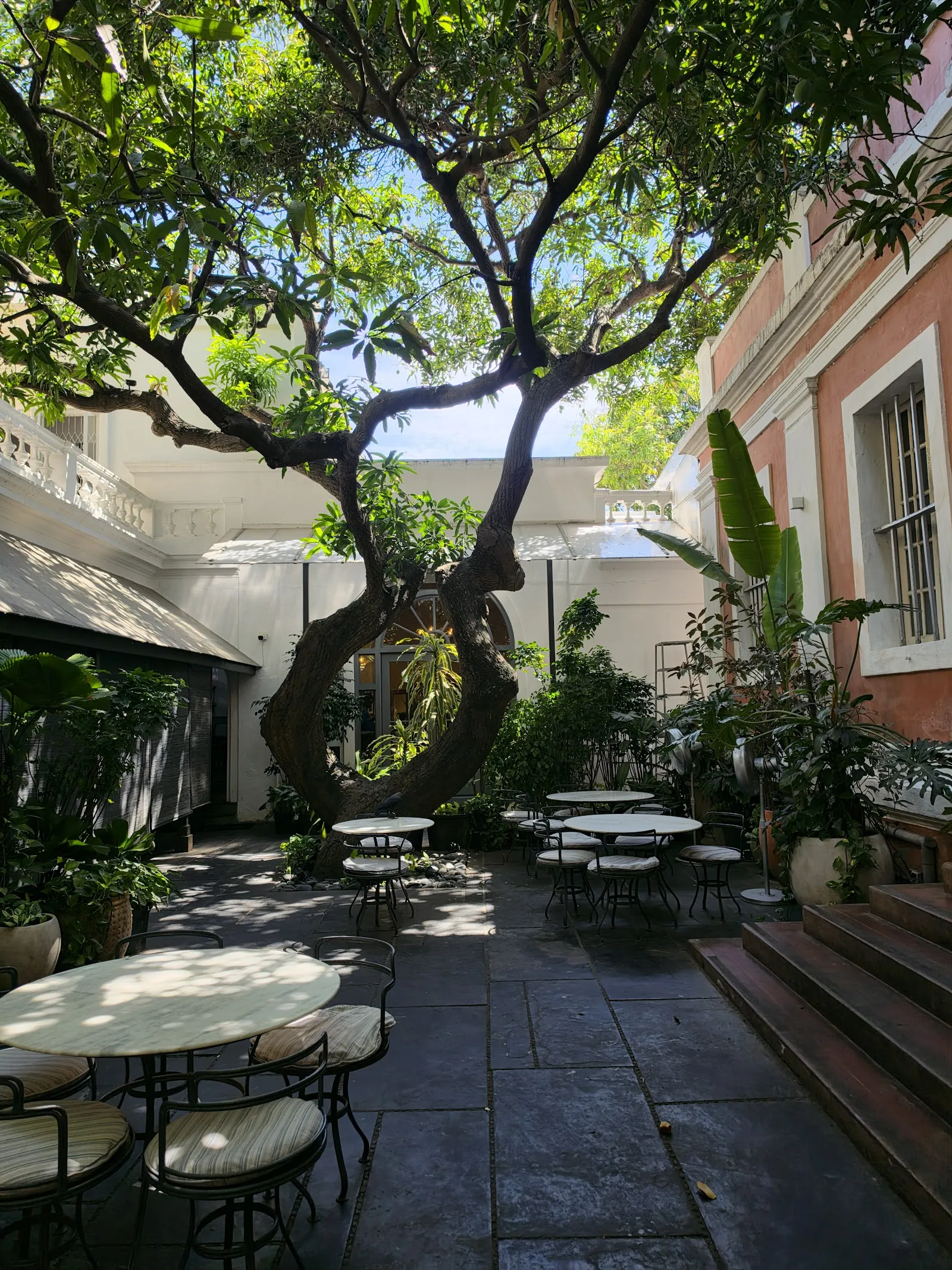 Coromandel Cafe Pondicherry natural wine bar White Town Jay Adams