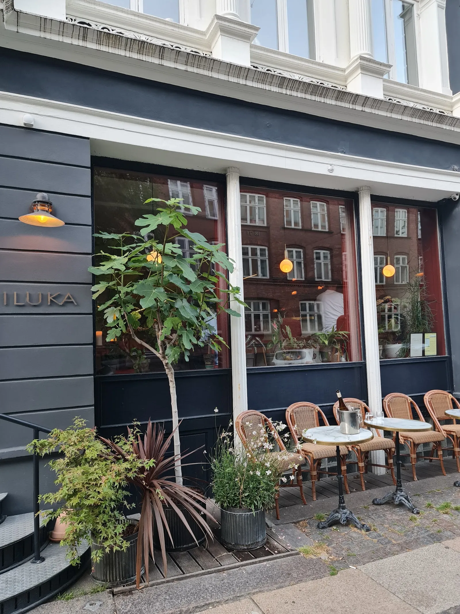 Seafood and oysters at Iluka, Copenhagen