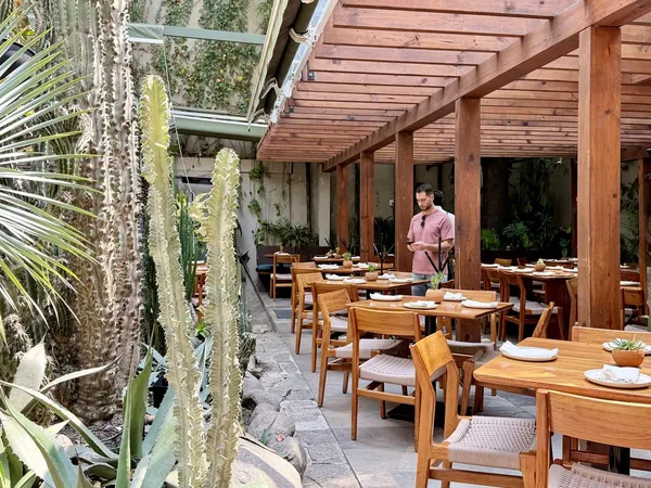 Botánico Mexico City modern mexican-mediterranean