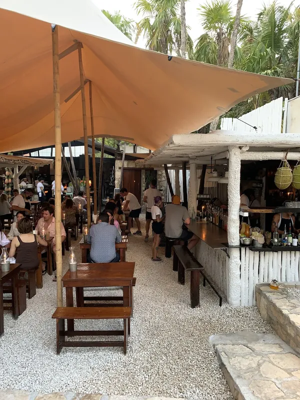 Hartwood, Tulum