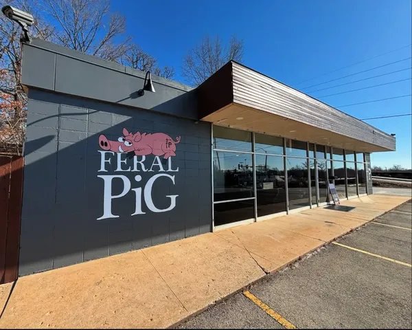 Feral Pig Fayetteville