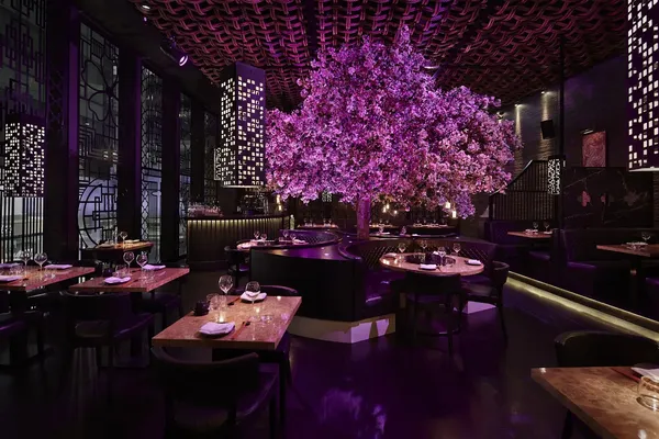 Tattu, Manchester
