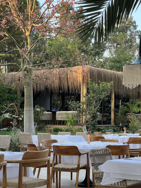 Mezra Yalikavak Bodrum