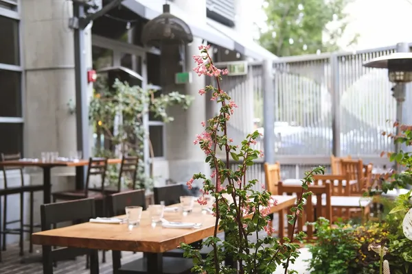Gather Berkeley farm to table