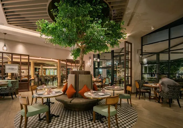 Olive, JW Marriott, Khao Lak