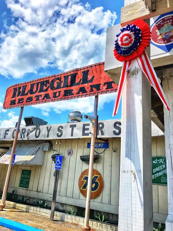 Bluegill, the Causeway, Mobile