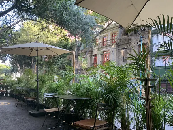 Café Nin Mexico City modern mexican-bistro