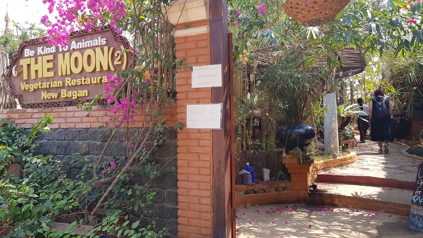 Bougainvillea courtyard at The Moon: Be Kind to Animals, Old Bagan
